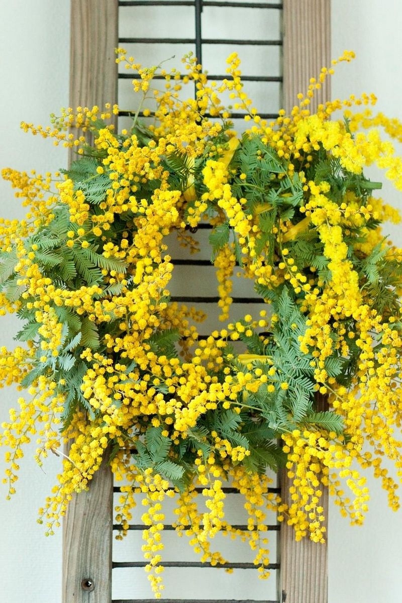 800x1200  Скачать 800x1200 мимоза, венок, желтый, стена обои, картинки iphone 4s/4  for parallax