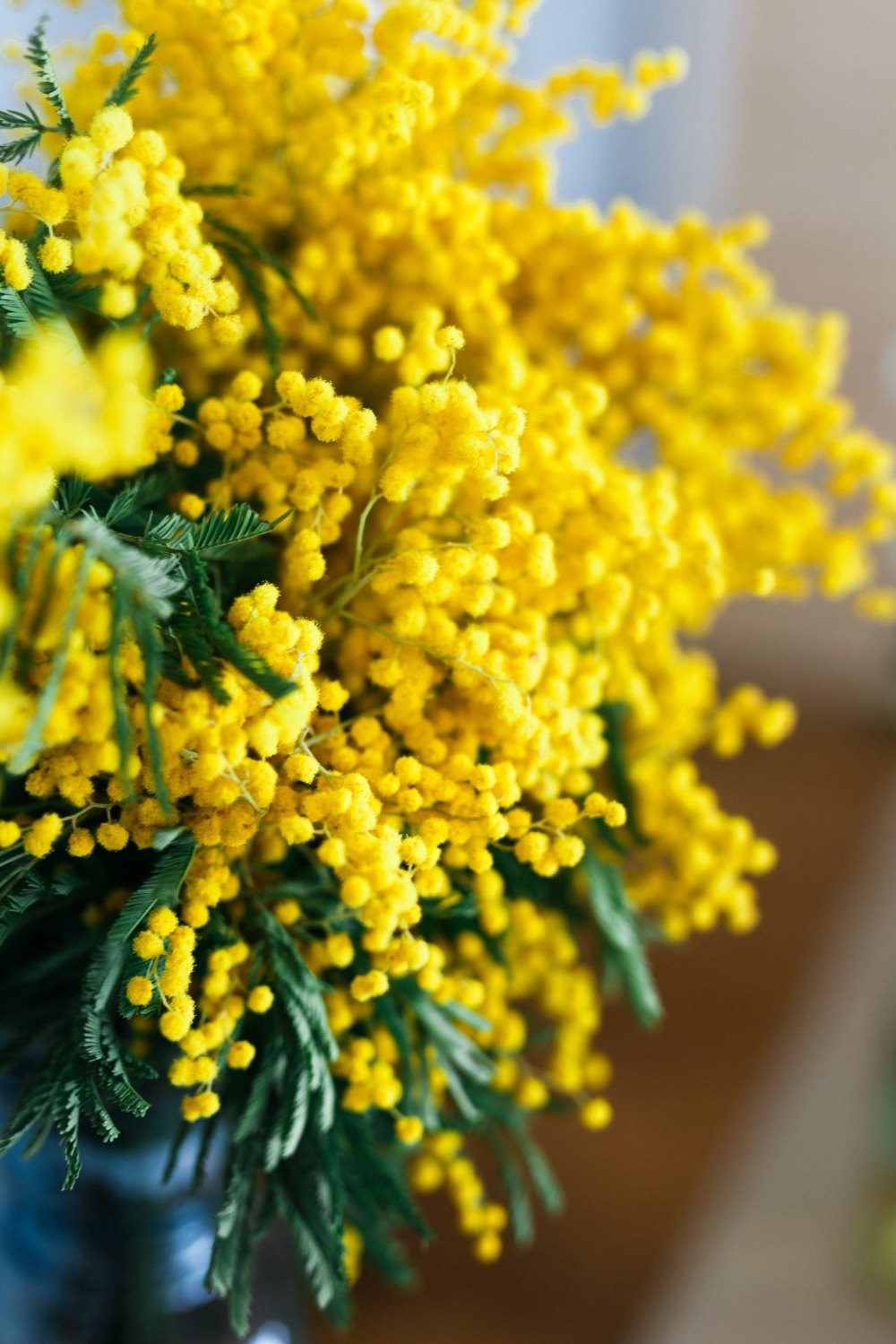 1000x1499  Тюльпаны и Мимоза - фото и картинки: 115 штук