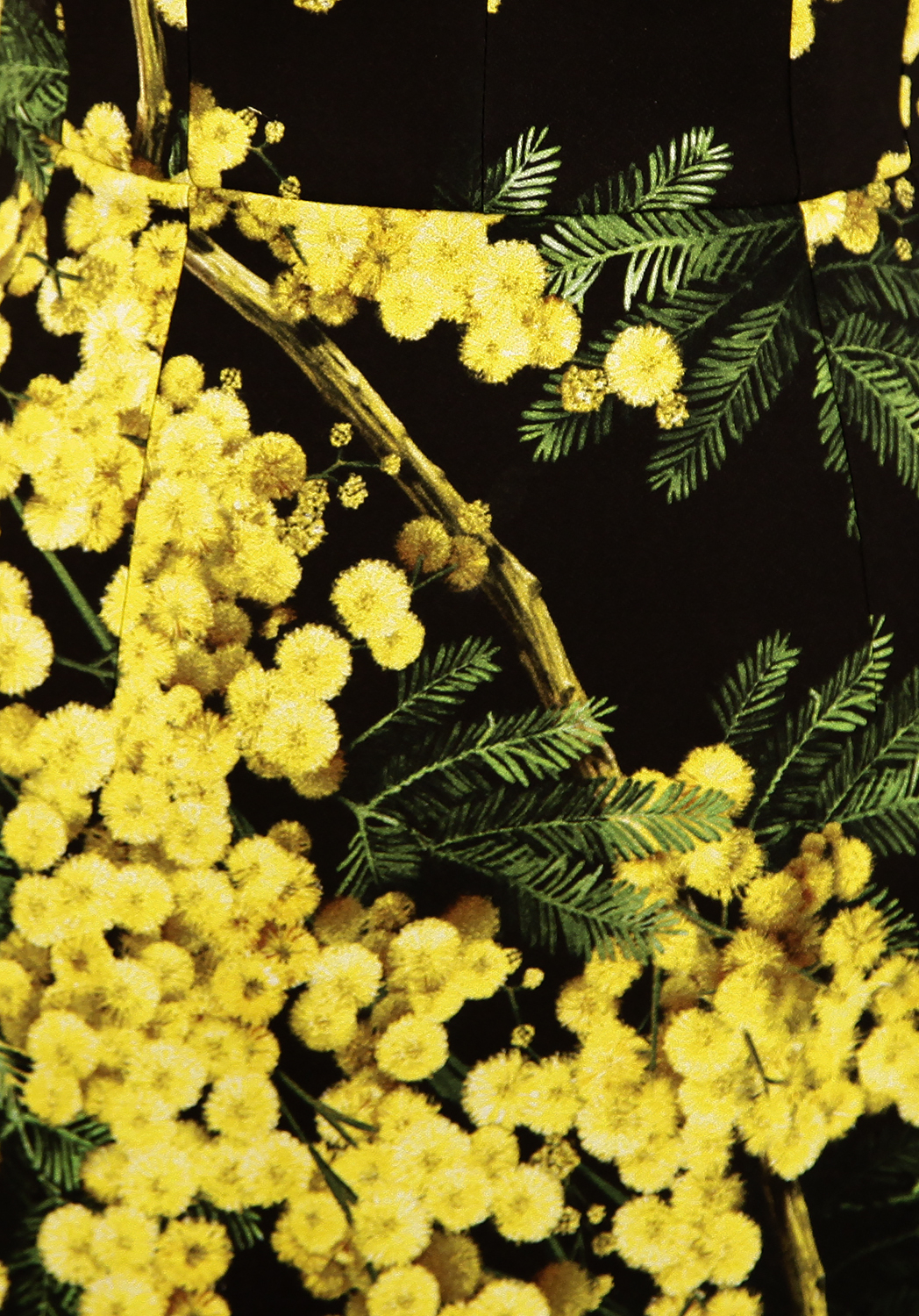 1048x1500  Скачать 800x1200 нарциссы, цветы, клумба, весна обои, картинки iphone 4s/4  for parallax