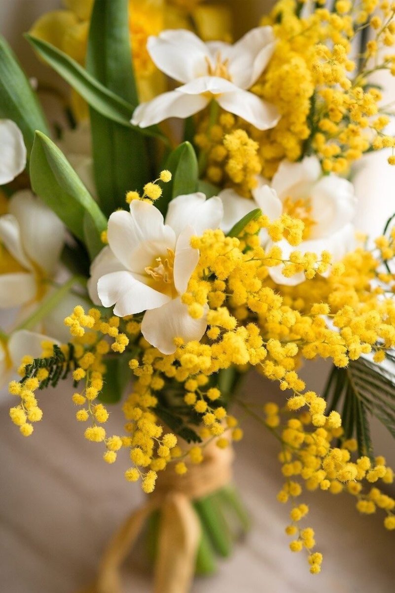 801x1200  Торт, тюльпаны и мимоза в 2023 г | Белые свечи, Белые тюльпаны,  Ароматические свечи