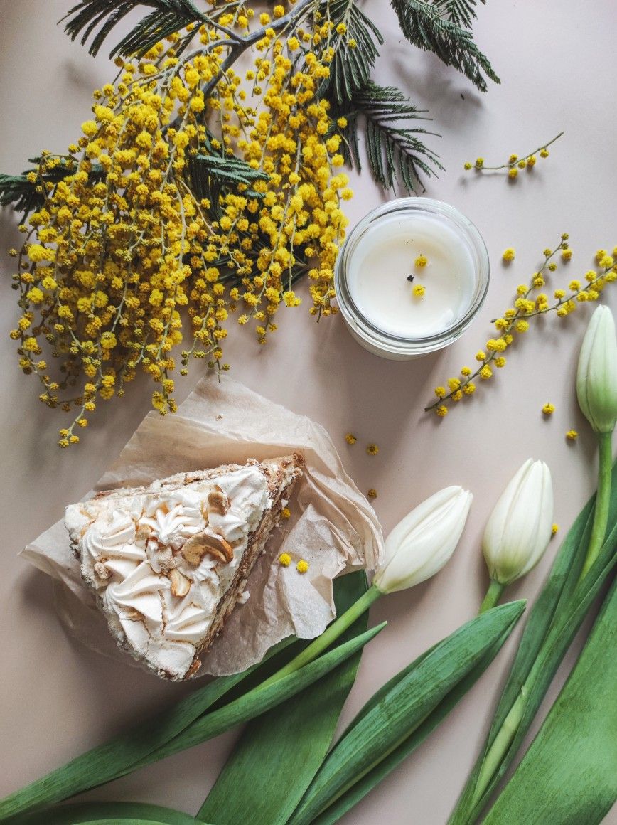 868x1160  Мимоза цветок картинки - 68 фото