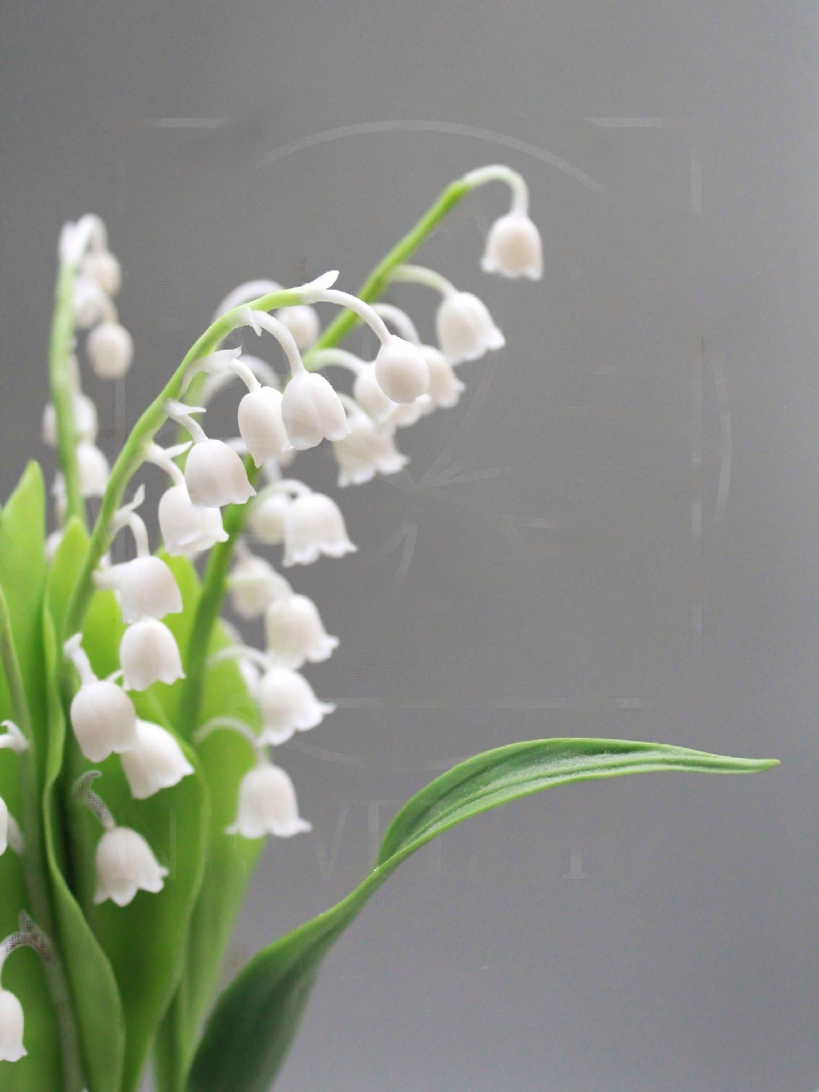 1621x2160  Цветы Нальчик Доставка по КБР (@flower.rose.nalchik) • Instagram photos and  videos