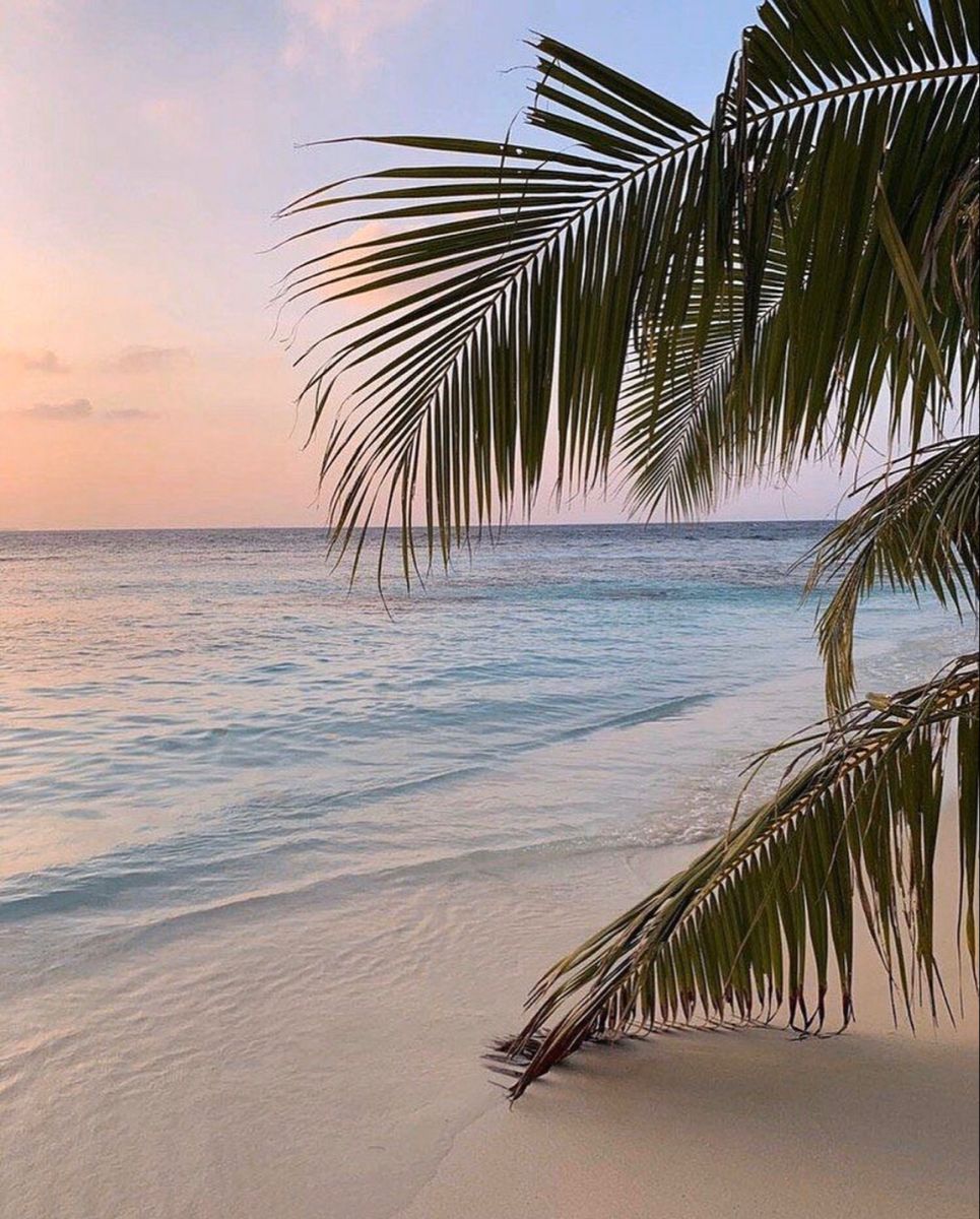 965x1200  Обои на IPhone | Beach, White sand beach, Scenery