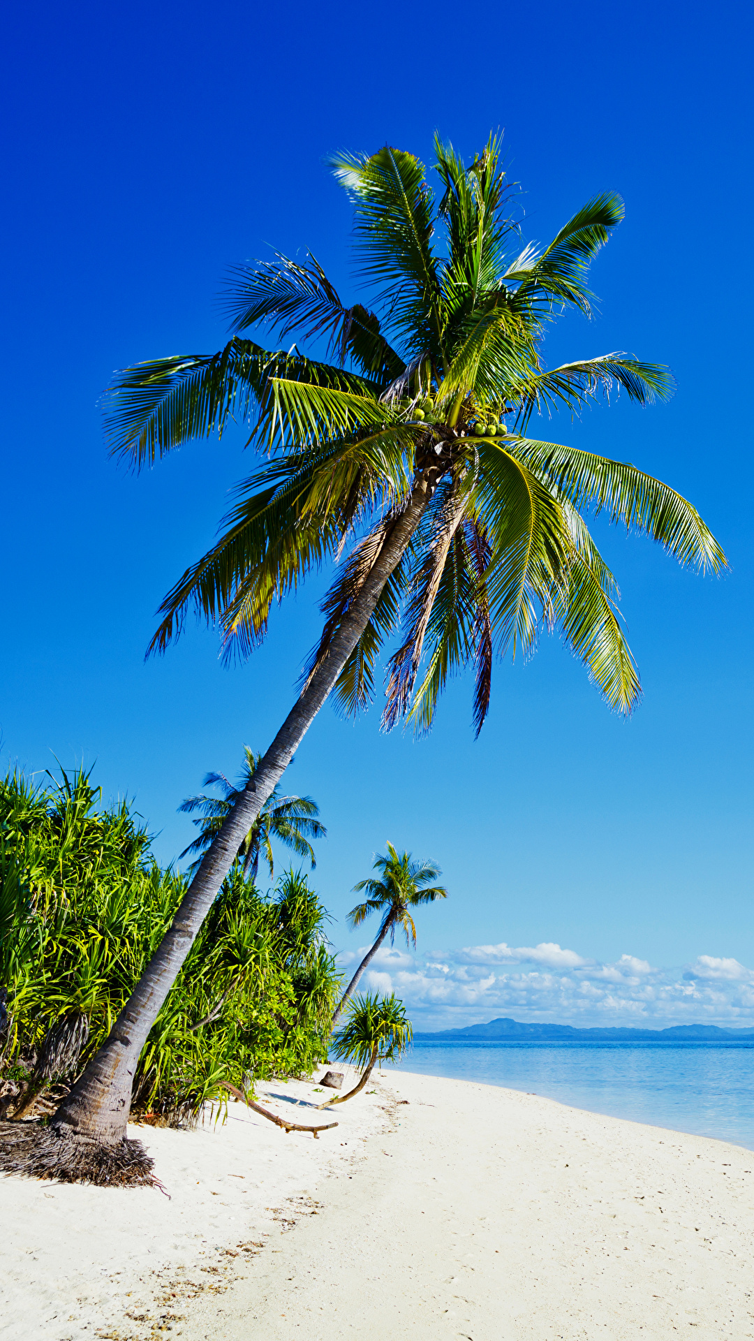 1080x1920  Картинка Филиппины пляже Море Природа пальм Тропики берег 1080x1920