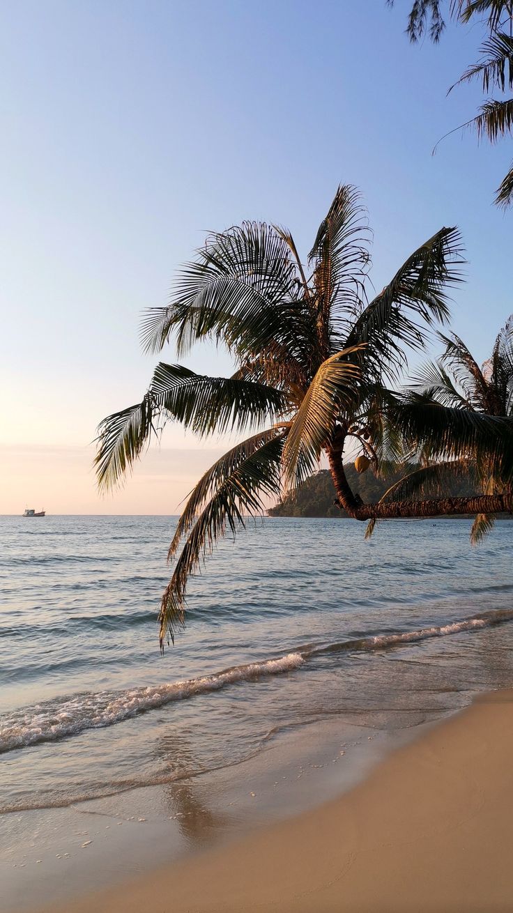 736x1310  Ко Кут Таиланд | Beach wallpaper, Nature photography, Scenery wallpaper