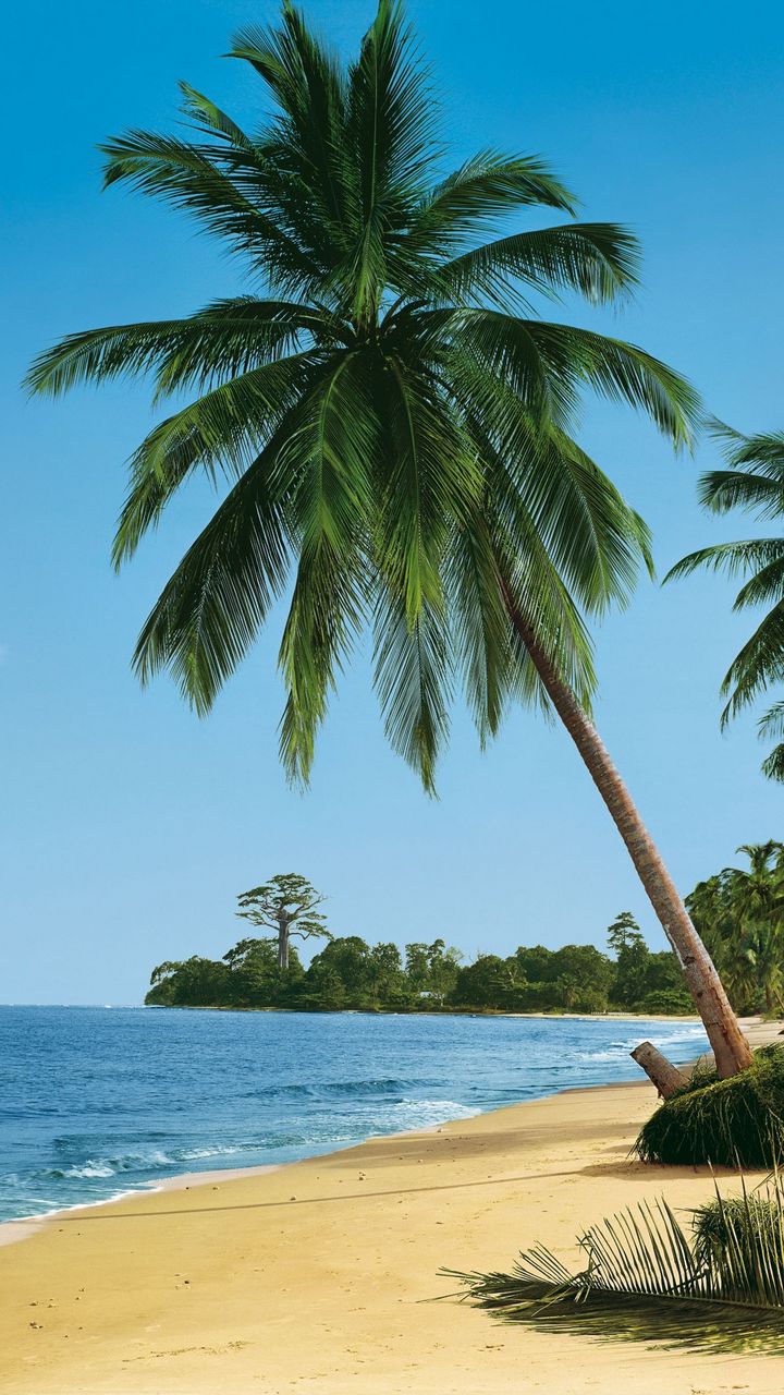 720x1280  Скачать 720x1280 пляж, тропики, море, песок, пальмы, лето обои, картинки  samsung galaxy mini s3, s5, neo, alpha, sony xperia compact z1, z2, z3,  asus zenfone