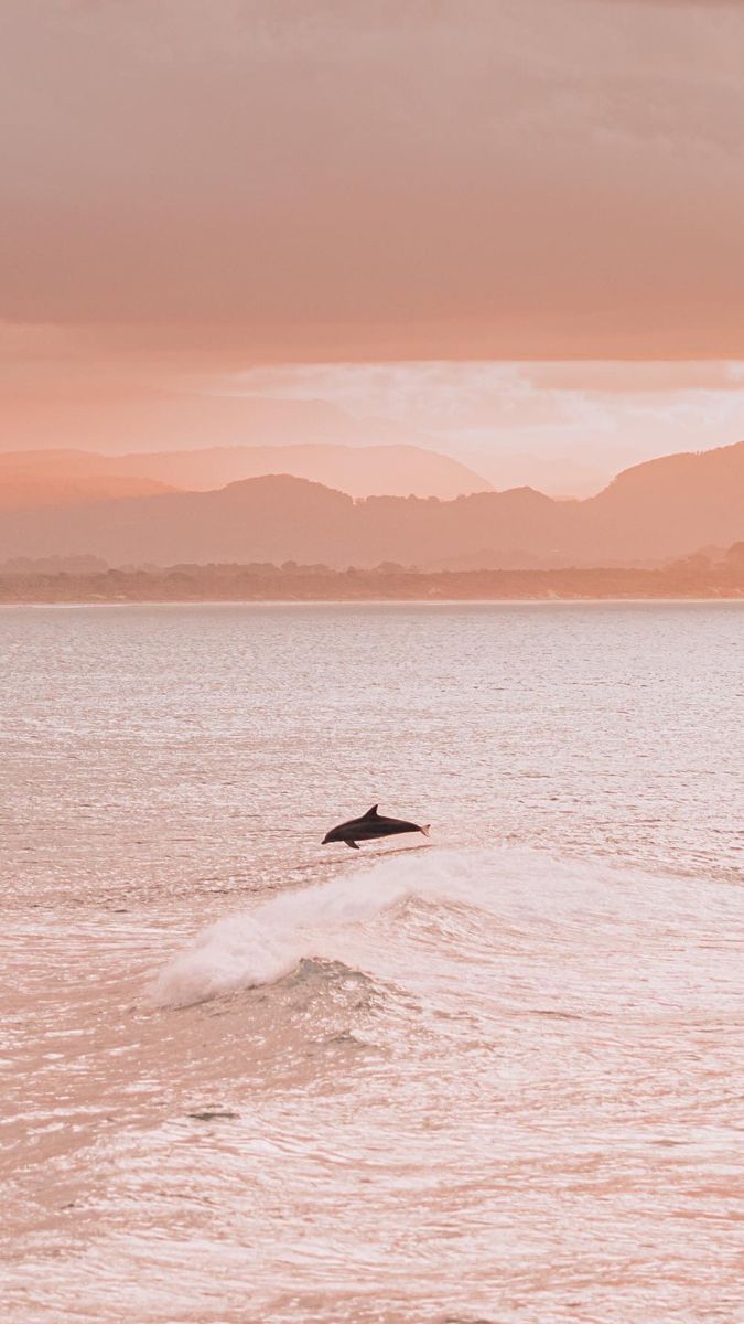 675x1200  Обои на телефон | Пейзажи, Живописные пейзажи, Фоновые рисунки