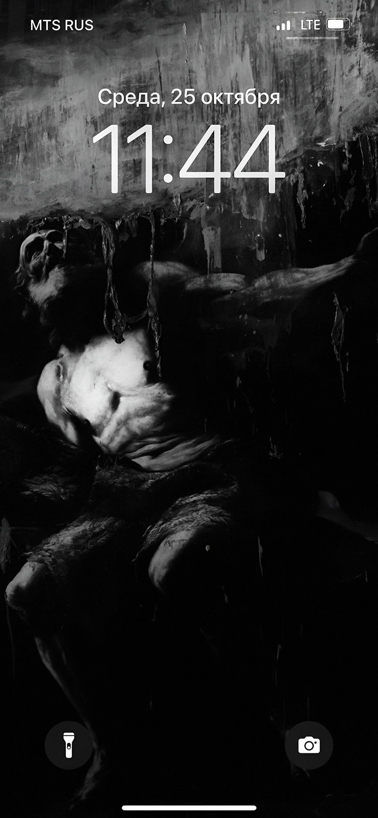 740x1600  С четвертого класса не меняю обои»: 25 великолепных заставок телефона