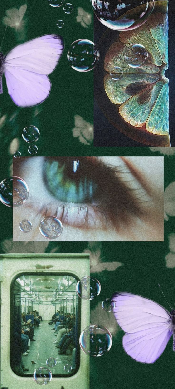 736x1635  Обои на телефон в 2023 г | Зеленые обои, Обои, Мыльные пузыри