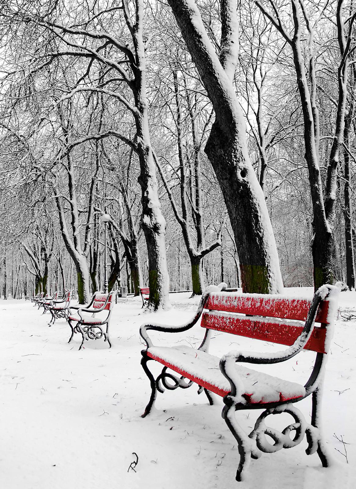 1166x1600  Зимний Парк - фотообои на заказ по цене интернет магазин arte.ru. Заказать  обои Зимний Парк (23246)