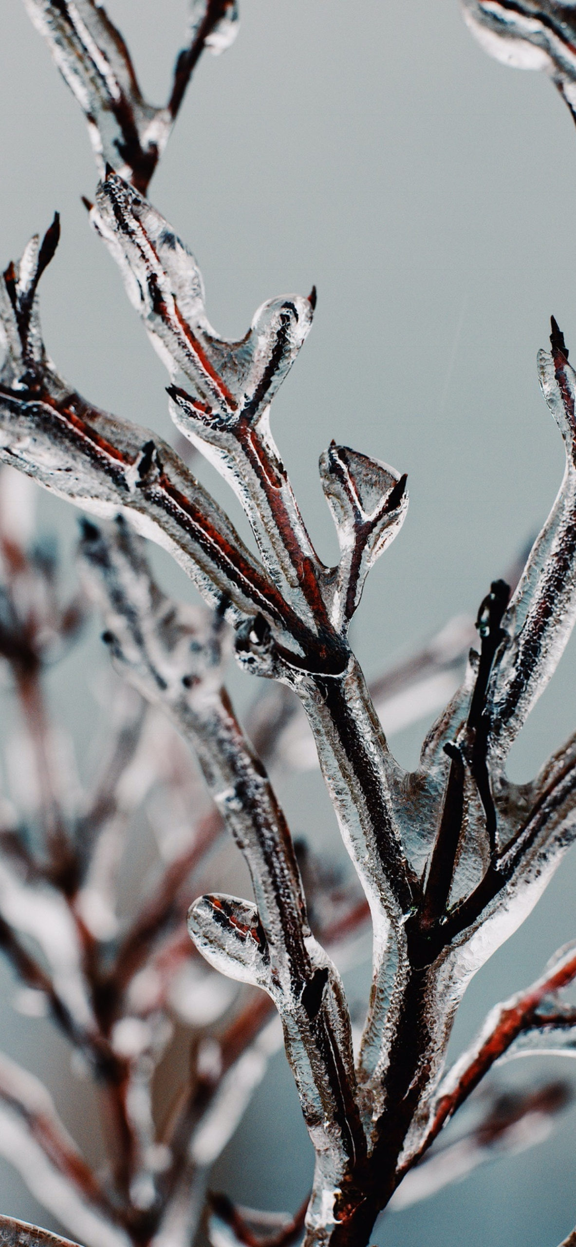 1183x2560  Обои к началу зимы для iPhone - IT-HERE.RU