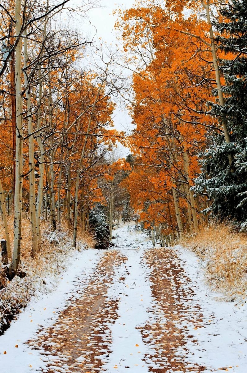 796x1200  Поздняя осень начало зимы - 33 фото