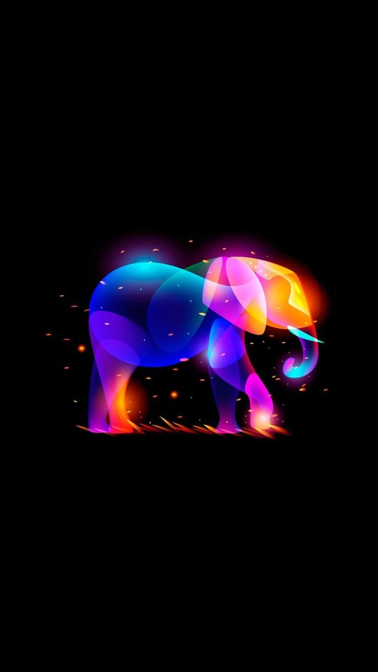 736x1308  Pin by Alicidesgabz on Hermosos fondos de pantalla | Elephant wallpaper,  Elephant phone wallpaper, Elephant painting