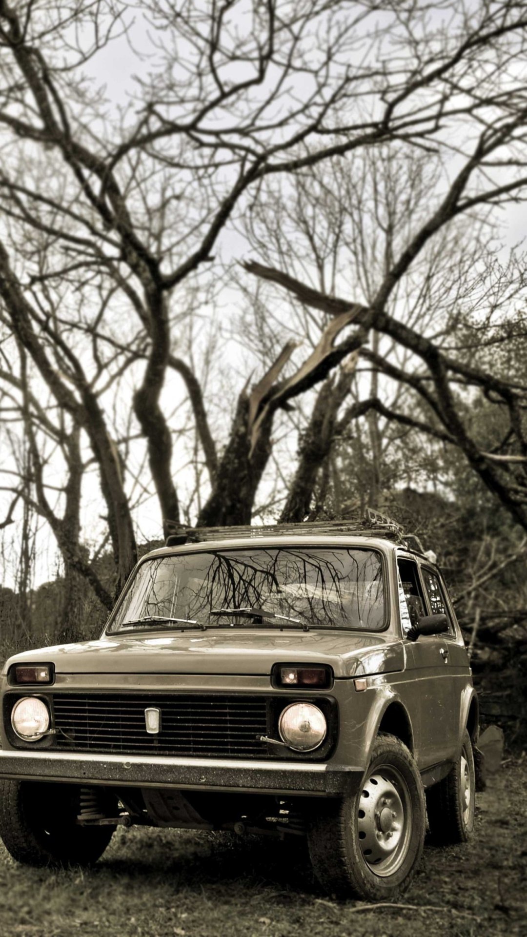 1080x1920  Нива обои на телефон - 66 фото