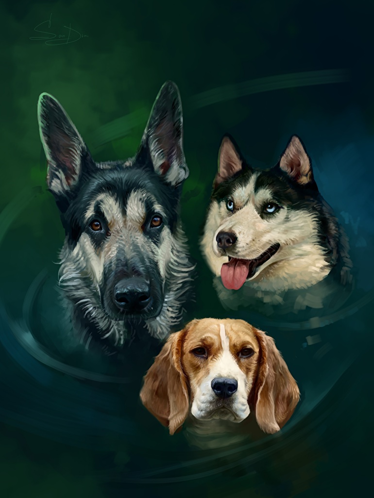 770x1024  Pin by Alina_aa on Обои для телефона | Dogs and puppies, Cute animals, Pet  birds