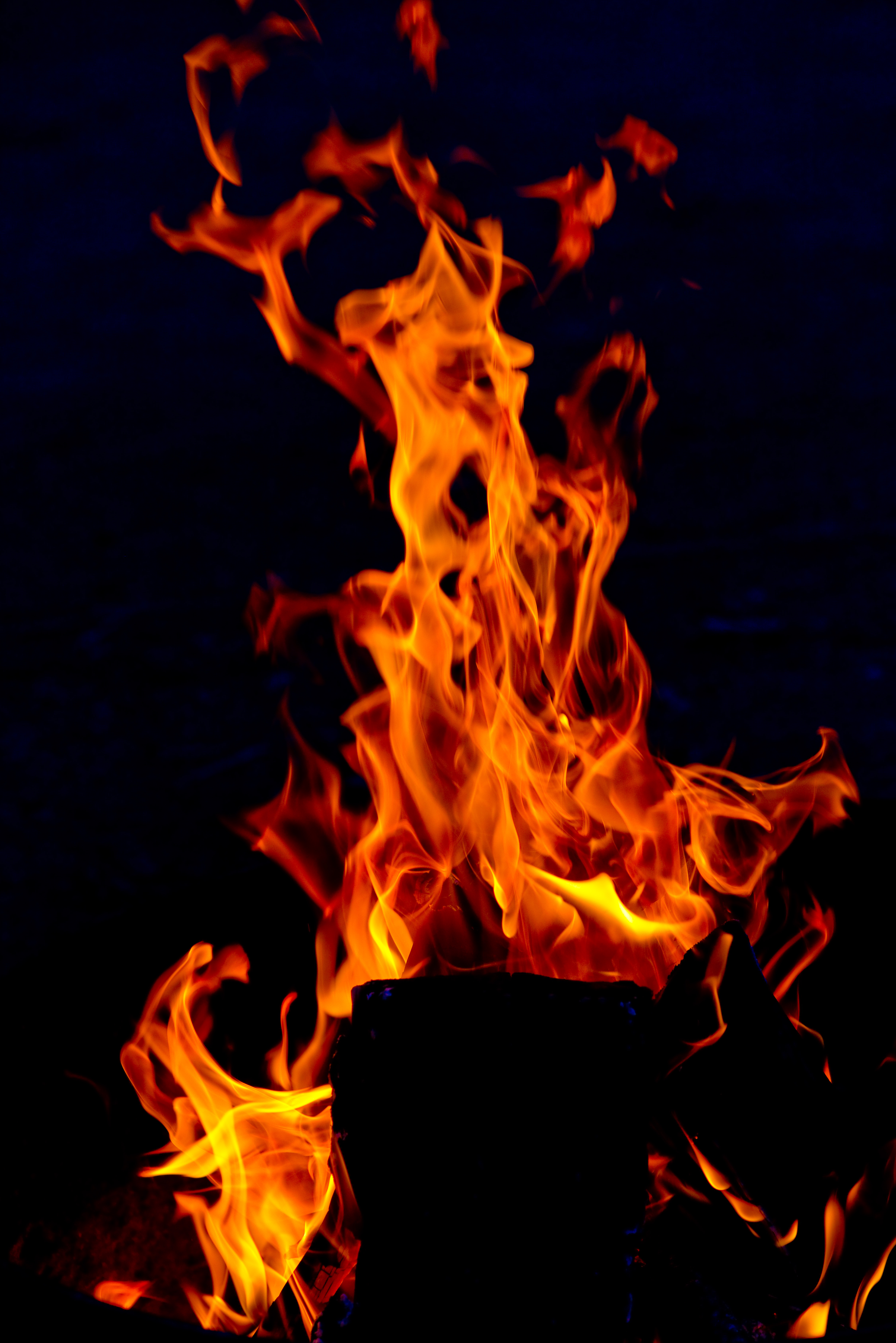 4912x7360  5 000+ обоев и картинок на телефон бесплатно - Pixabay