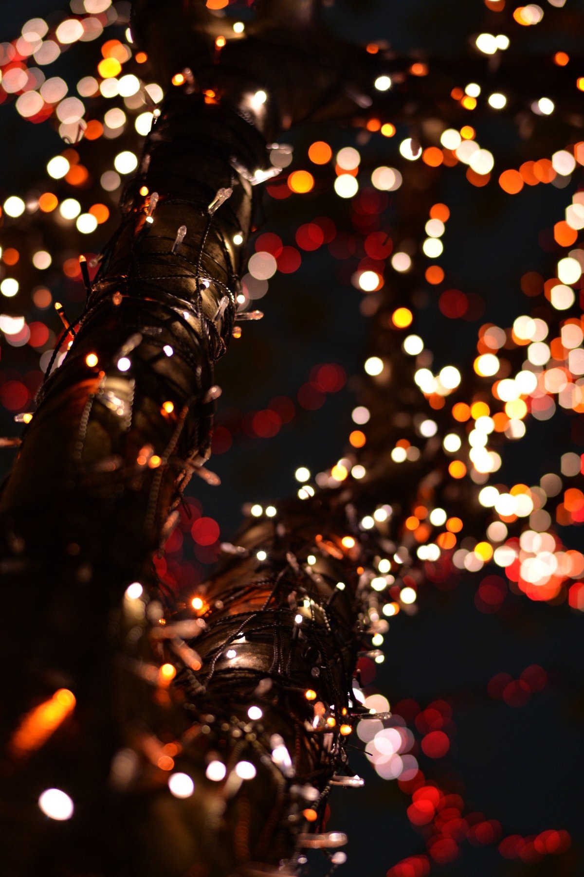 1200x1803  Обои на телефон огоньки - 66 фото