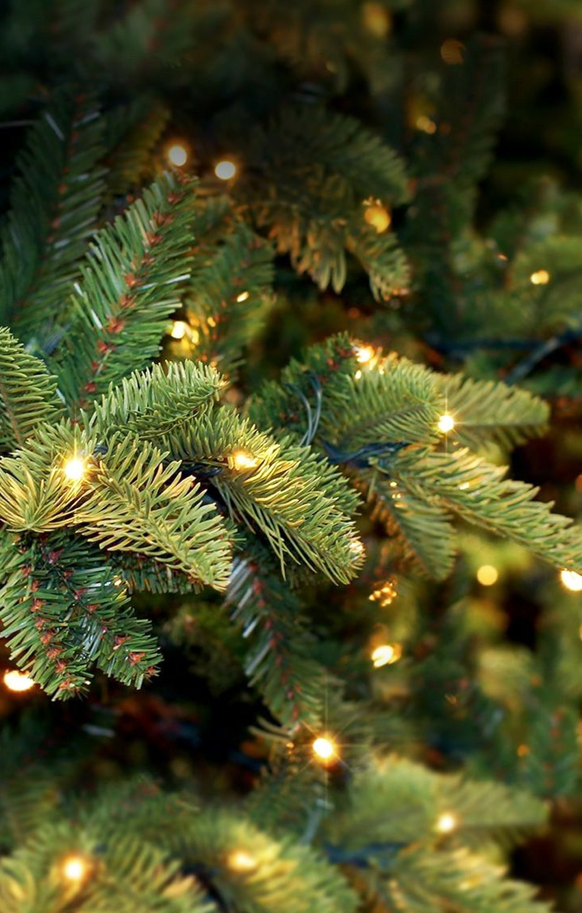 850x1332  Новогодние обои на смартфон - ЯПлакалъ