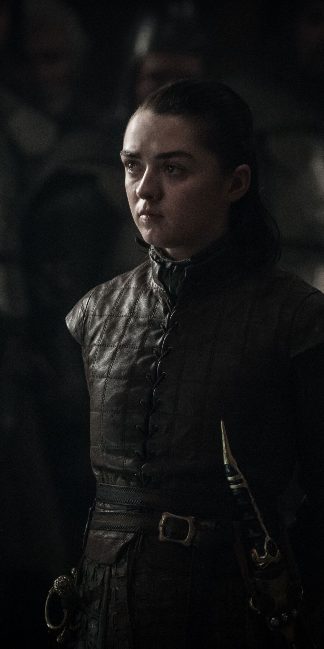 1080x2160   Арья Старк Мэйси Уильямс ПОЛУЧИЛА телешоу 1080x2160 Обои | Арья Старк Обои Арья Старк Мэйси Уильямс