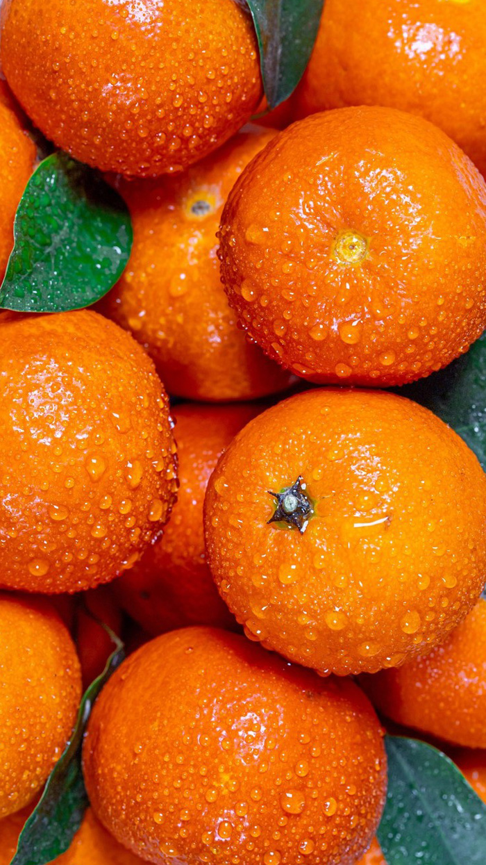 700x1245  Новогодние обои на смартфон - ЯПлакалъ