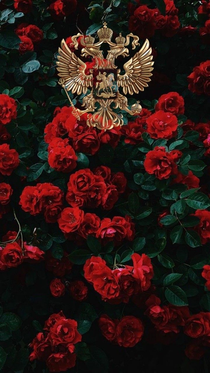 720x1279  Пин от пользователя Дамир на доске опер | Герб, Морские обои, Галактический  фон