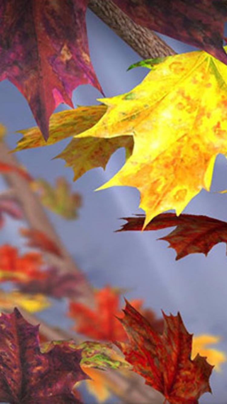 750x1334  Осенние листья - Картинка на телефон / Обои на рабочий стол №1330391