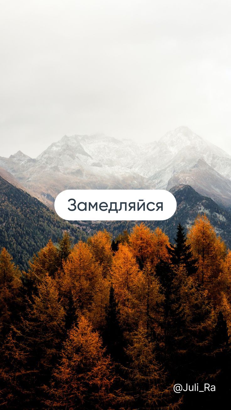 Осенний лес обои на телефон