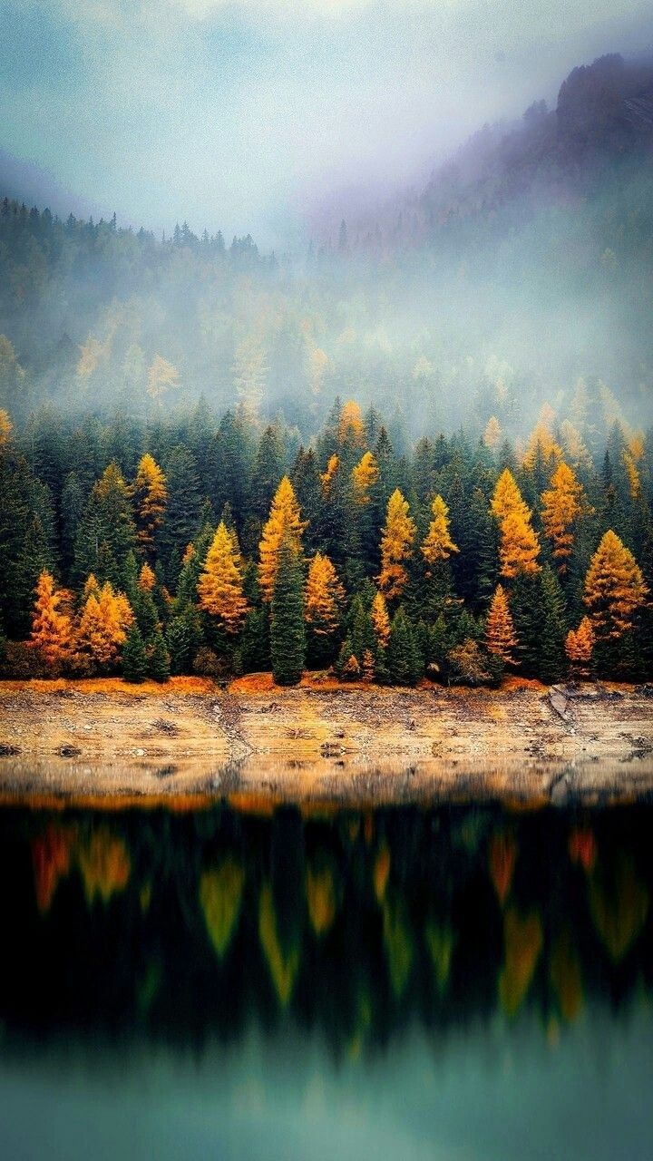 720x1280  Осенние обои на телефон | Nature photography, Landscape, Scenery