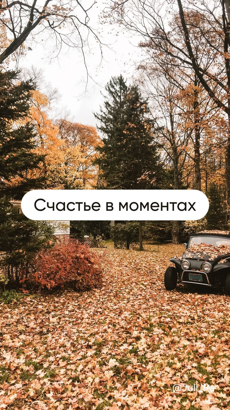 736x1307  Осенние картинки. Обои для телефона | Осенние картинки, Мотивационные  картинки, Фотография природы