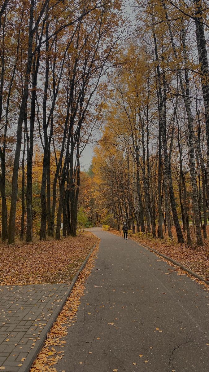 675x1200  осенний парк | Пейзажи, Осень, Природа