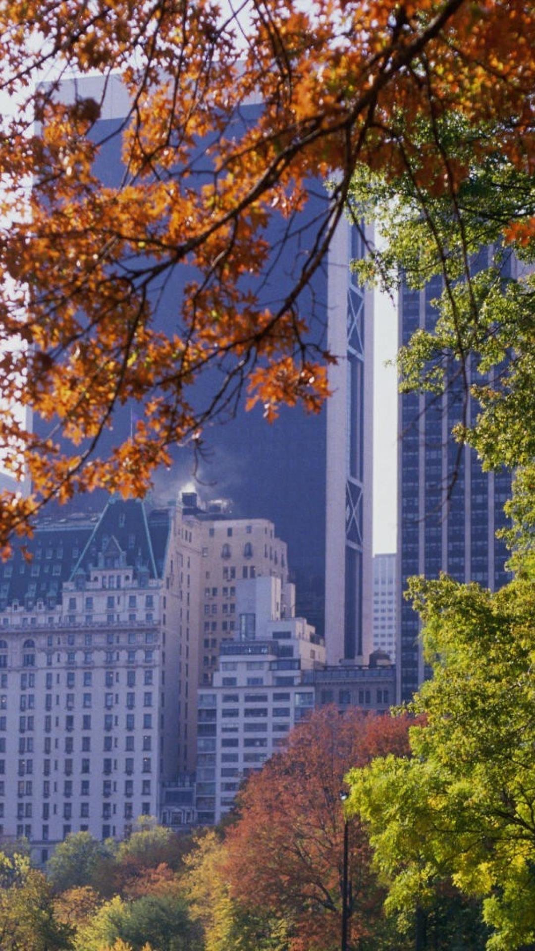 1080x1920  Обои на телефон осень в городе - 73 фото