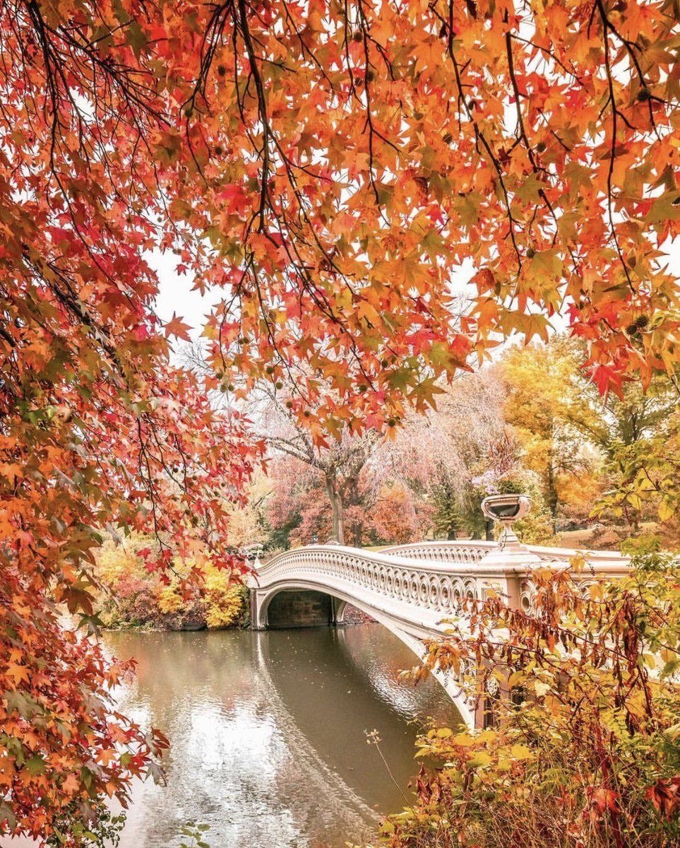 963x1200  Обои на телефон: Города, Осень, Париж, Эйфелева Башня, Город, Франция,  Здание, Городской Пейзаж, Падать, Строительство, Сделано Человеком, 1171872  скачать картинку бесплатно.