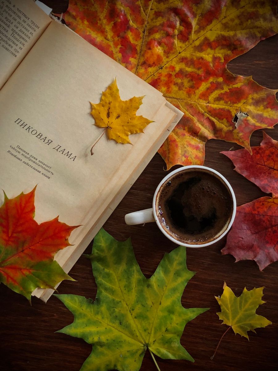 900x1200  Обои на телефон осень эстетика Halloween | Эстетика, Обои, Винтаж