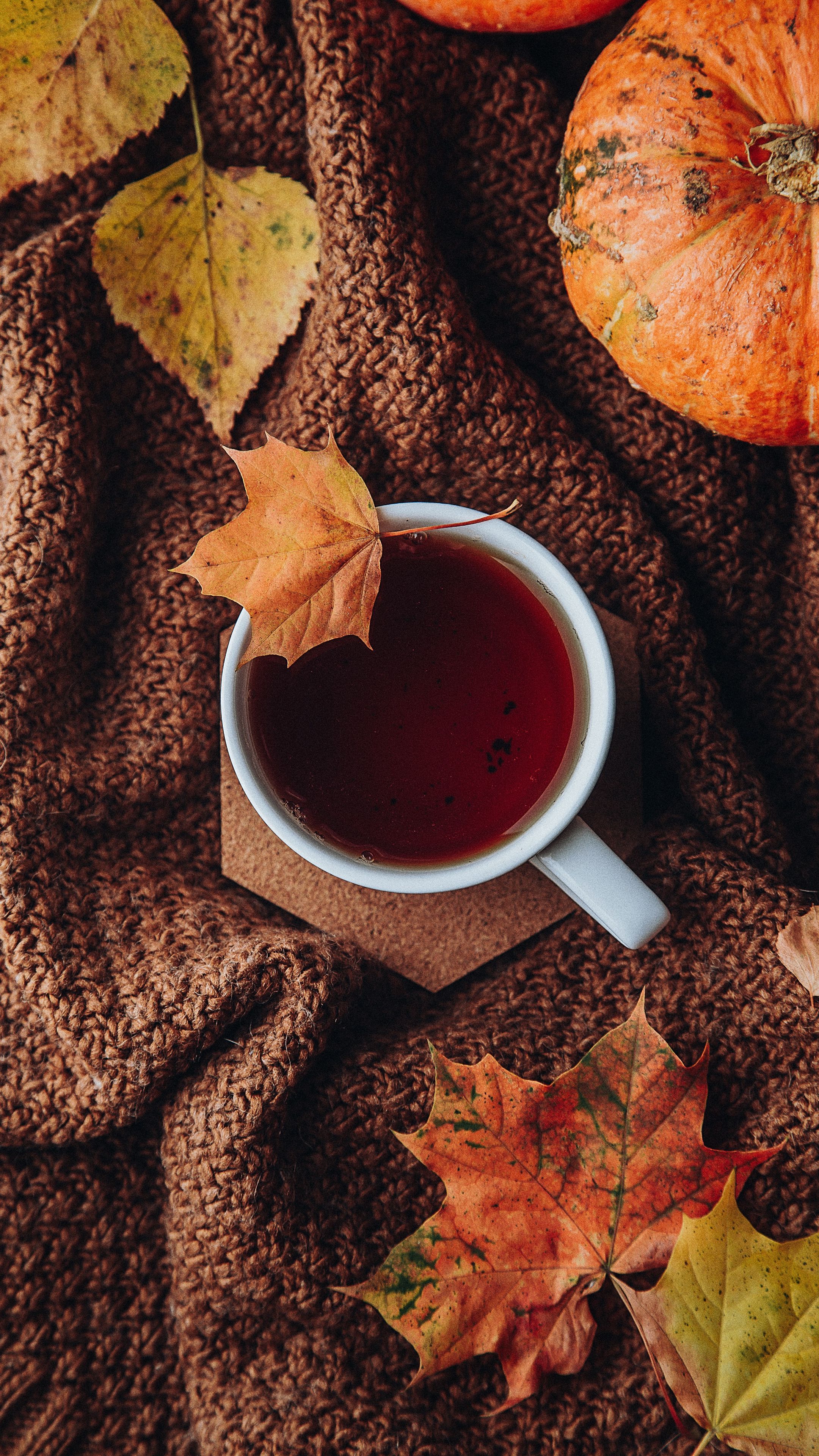 2160x3840  Скачать 2160x3840 чай, чашка, осень, листья, уют обои, картинки samsung  galaxy s4, s5, note, sony xperia z, z1, z2, z3, htc one, lenovo vibe
