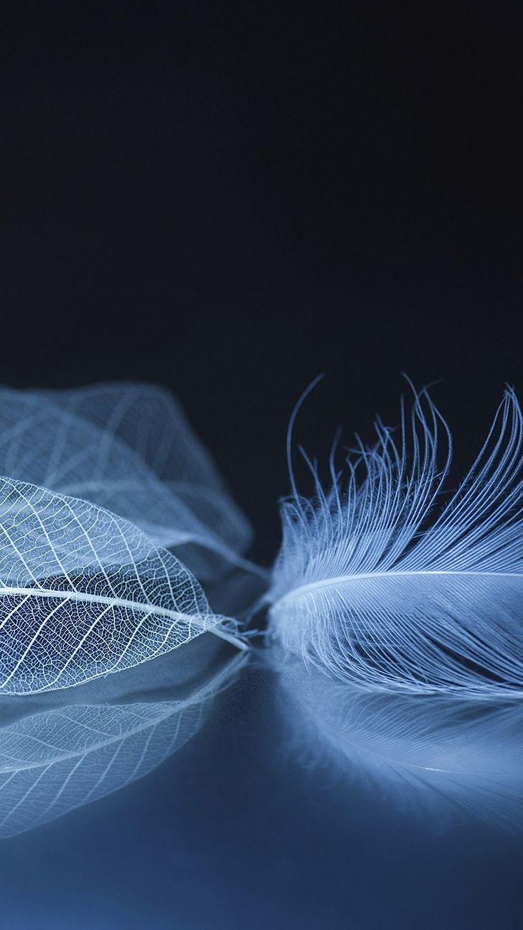 736x1308  Пин на доске Обои для iphone обои фоны эстетика