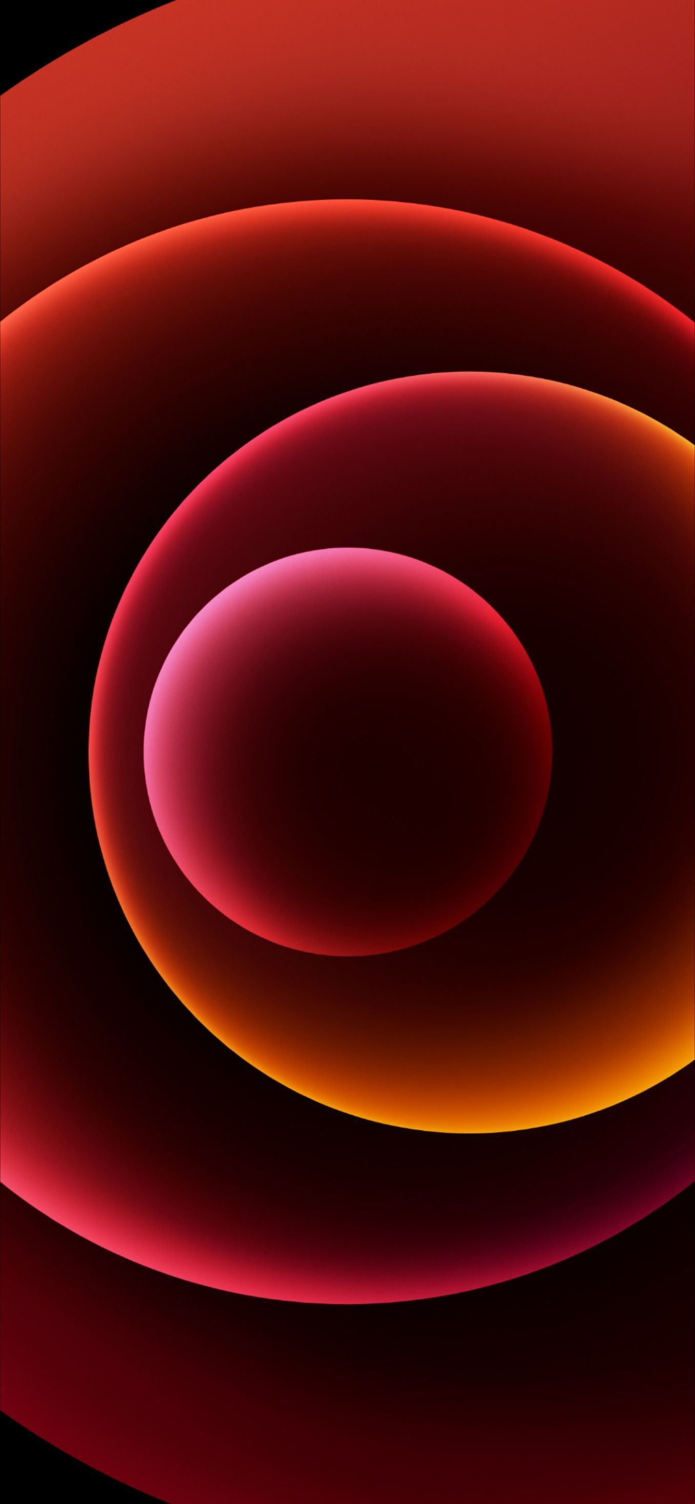 1356x2934  38+ Iphone 13 Mini обои на телефон от novikova.fedosa