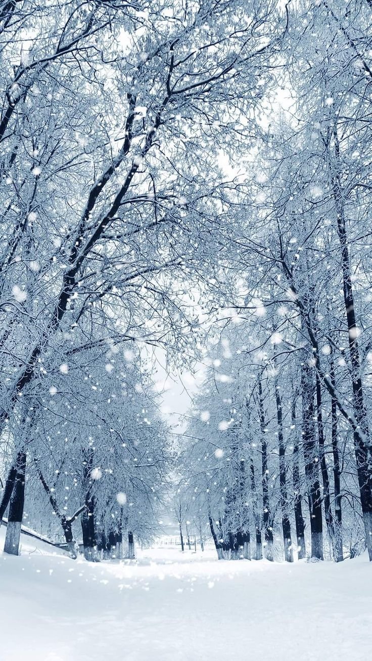 736x1307  Картинки на телефон снегопад - 66 фото