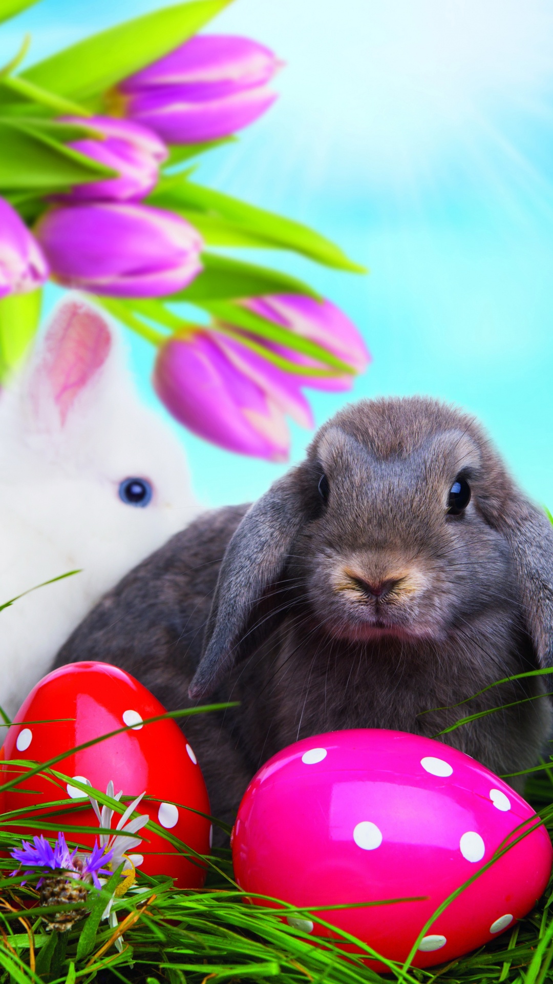 1080x1920  Пасха обои для Андроид Full HD, лучшие 1080x1920 заставки на телефон |  Akspic