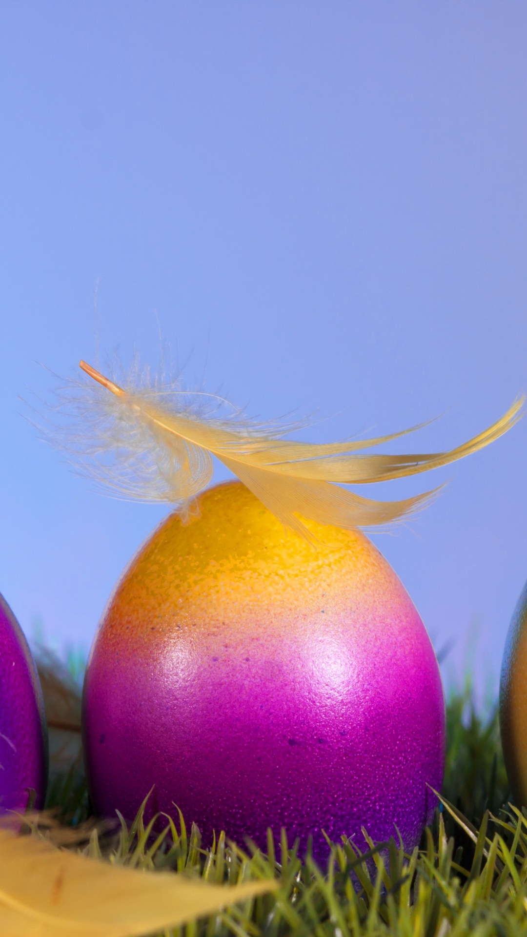 1080x1920  Обои пасха, пасхальное яйцо, праздник, яйцо на телефон Android, 1080x1920  картинки и фото бесплатно