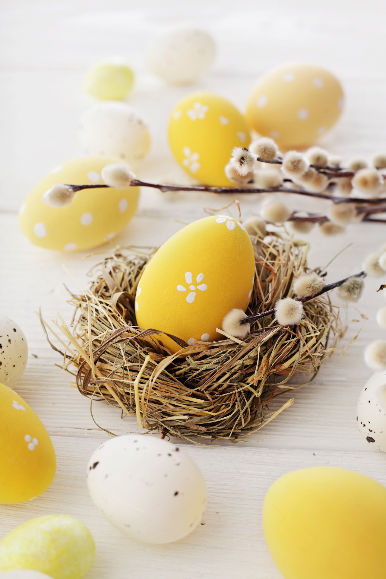 1280x1920  Обои для рабочего стола Пасха Яйца Гнездо на ветке 1280x1920