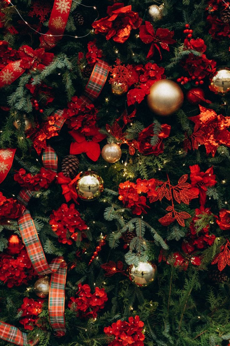 736x1104  Красивый фон | Merry christmas wallpaper, Christmas wallpaper, Christmas  wallpaper hd