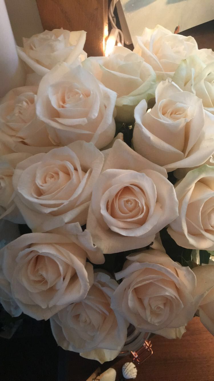 750x1334  Обои на телефон. Цветы. Розы. Телеграм @waallpapers7 #обои #обоинателефон  #обоидлятелефона #обоинаайфон #красота #цветы #… | Красивые розы, Букет  цветов, Белые розы