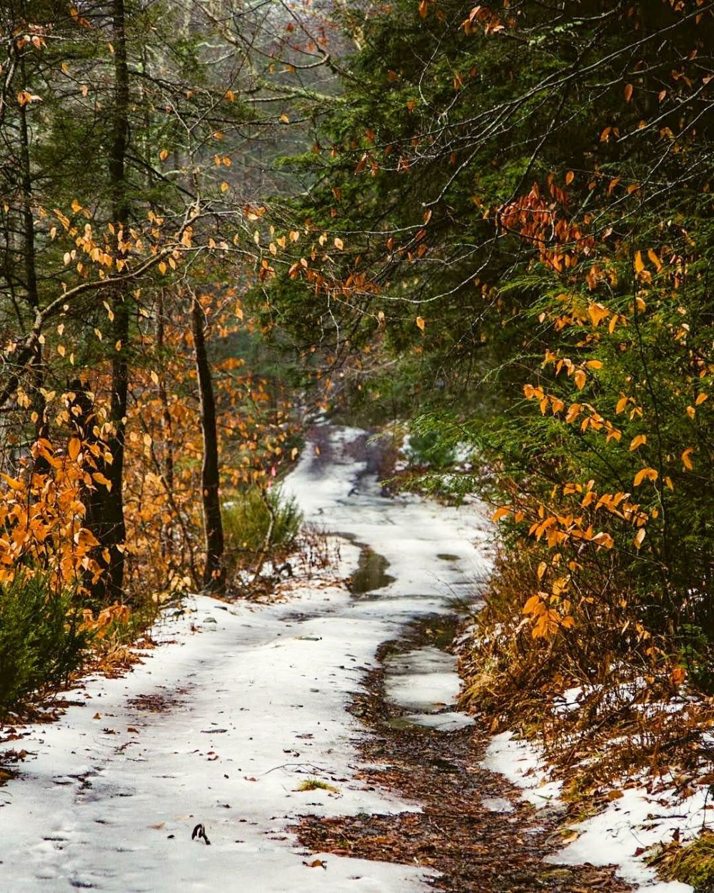 1000x1250  Глубокая осень (64 фото) - 64 фото