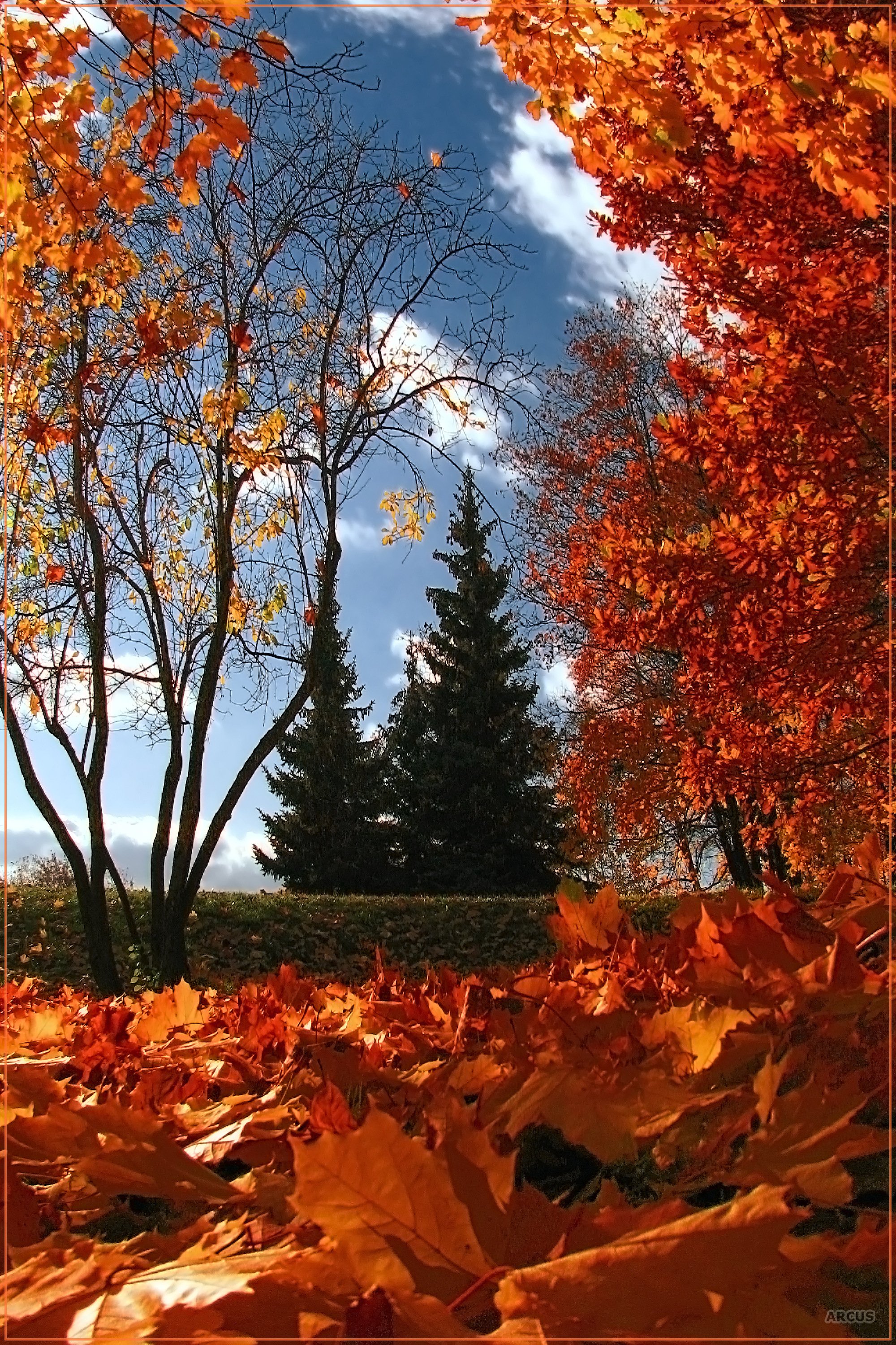 2000x3000  Вертикальные картинки осень - 68 фото