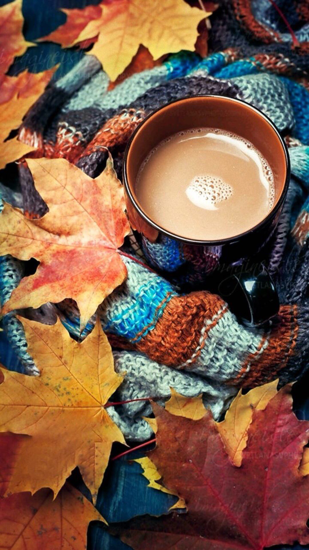 1080x1920  Обои на телефон осенние уютные теплые - фото и картинки abrakadabra.fun