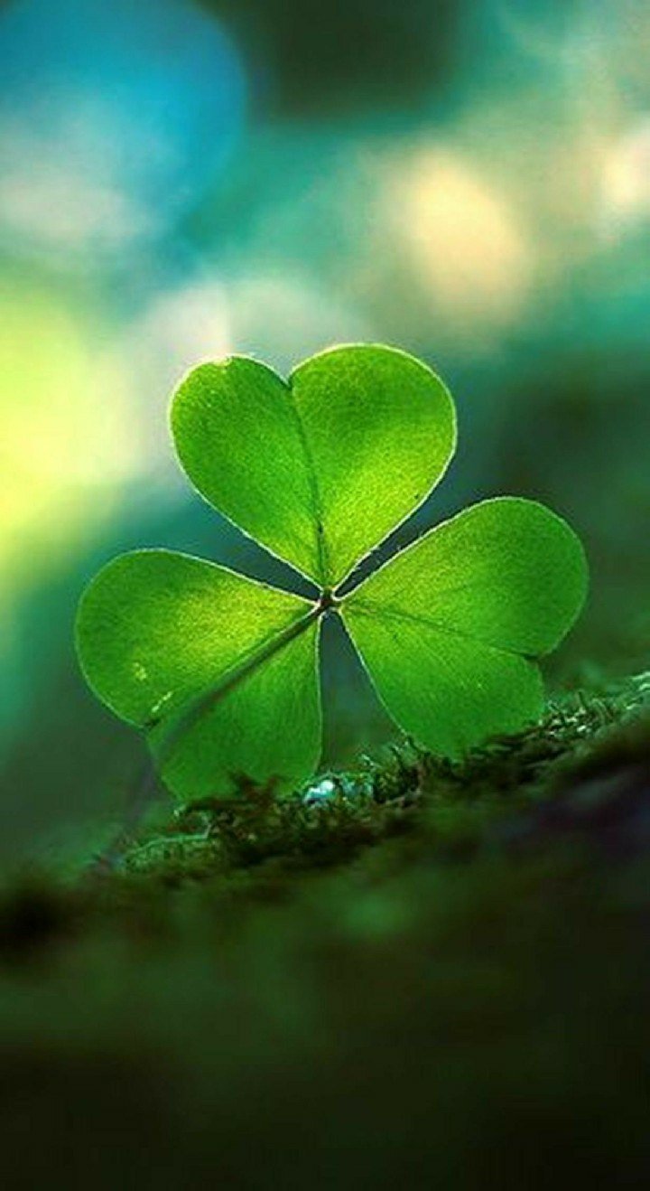 720x1318  Заставки на айфон удача - фото и картинки abrakadabra.fun