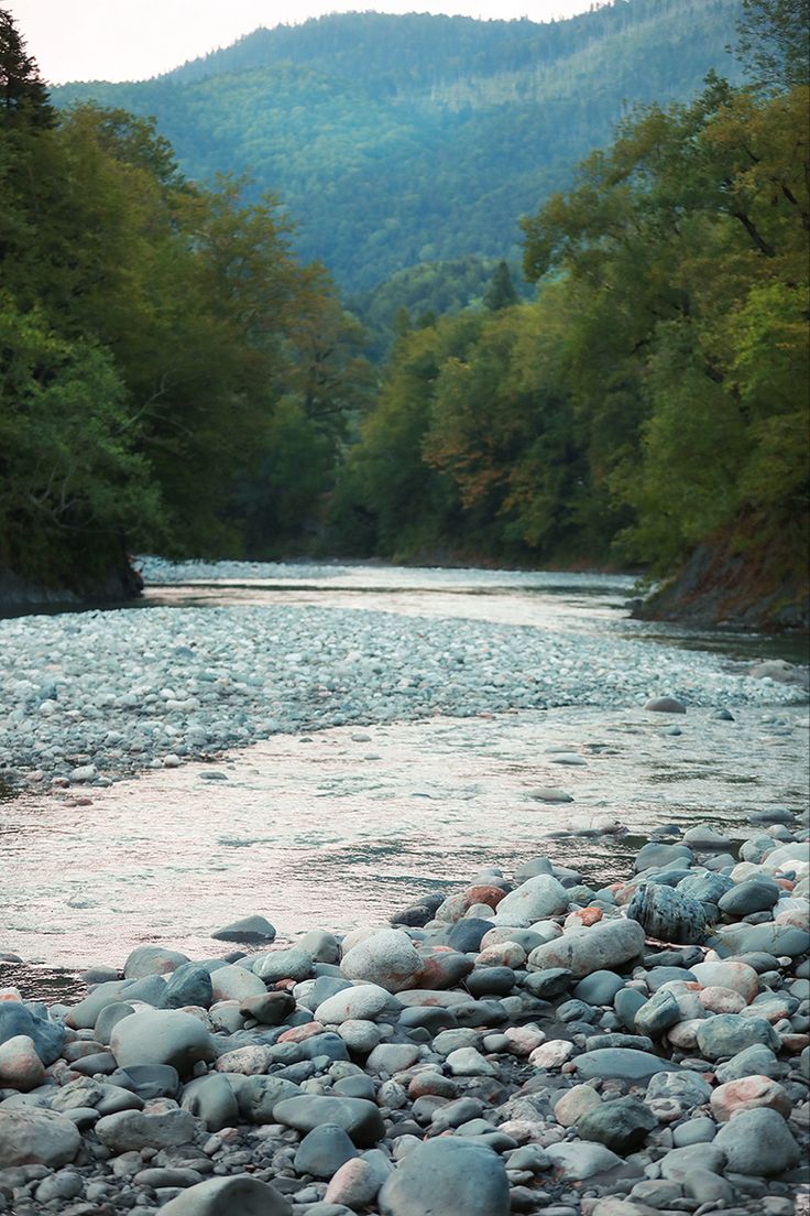 736x1104  Обои на телефон. Горы | Река, Фотограф, Эстетика