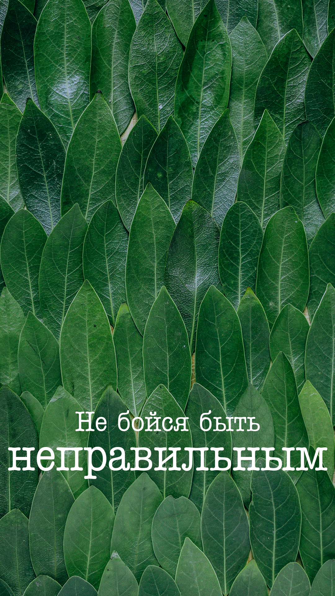 1080x1920  Обои для телефона | artlab.club