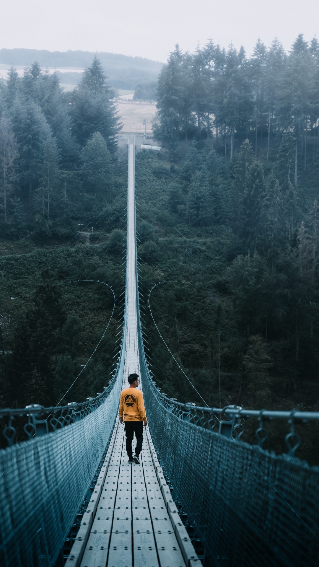 1080x1920  Обои путешествие, приключения, Путешествия и приключения, мост,  путеводитель на телефон Android, 1080x1920 картинки и фото бесплатно