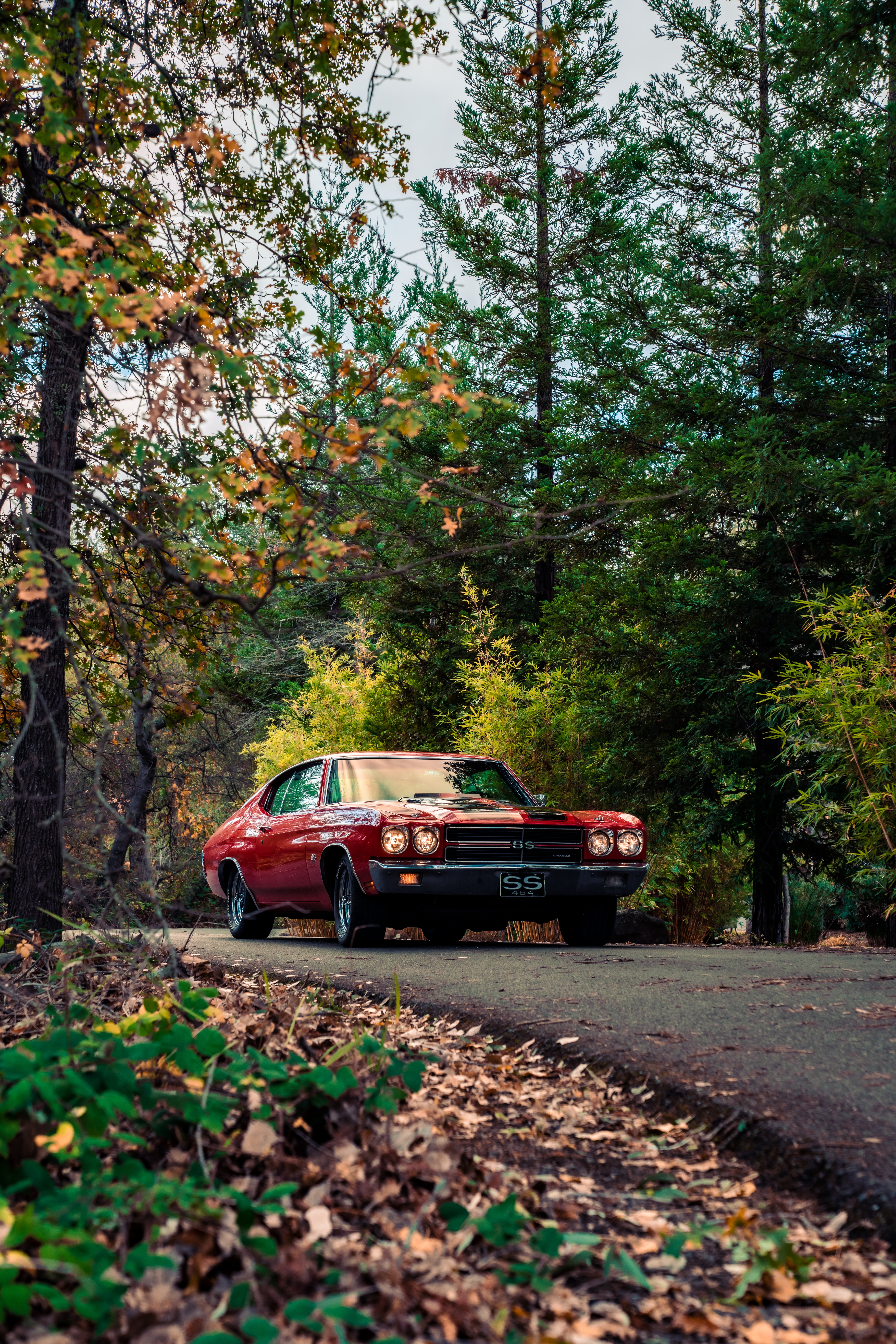 5304x7952  Боевая классика | Автомобильное искусство, Крутые тачки, Наклейки на авто